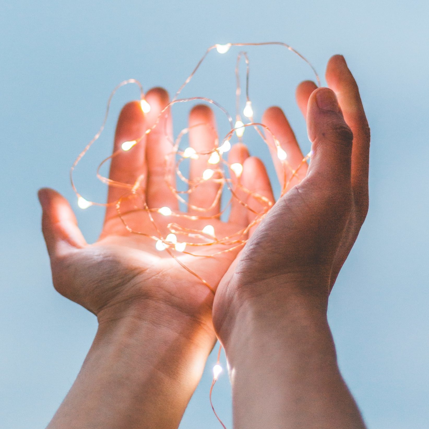 person holding string lights